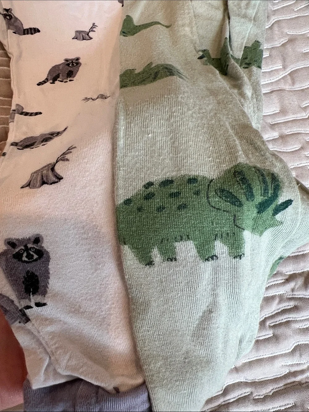 Kyte baby & carters Kids Long Sleeve Pajama set White Raccoon & Green Dinosaurs